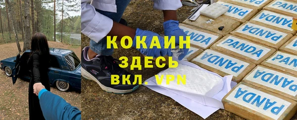 метадон Алексин